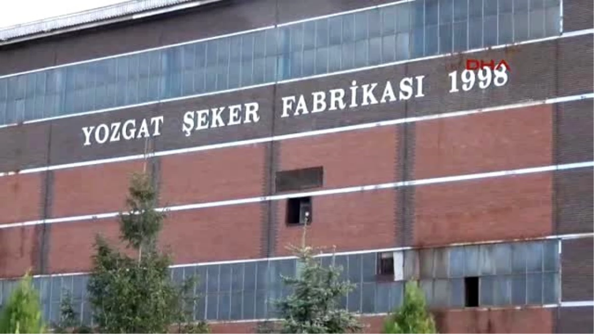 Yozgat Şeker Fabrikası İşçileri 2 Saat Fazla Çalışma Eylemi Başlattı