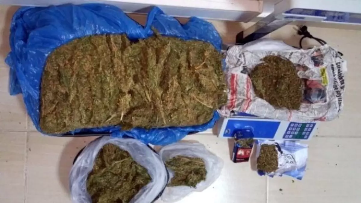 Didim\'de Tatil Sezonu Öncesinde Esrar Operasyonu…