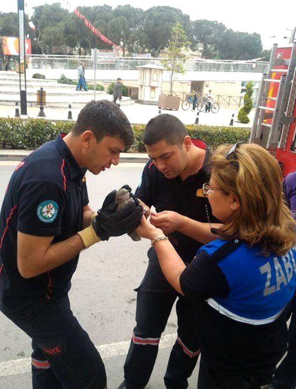 İpe Dolanan Güvercin Ağaçta Asılı Kaldı