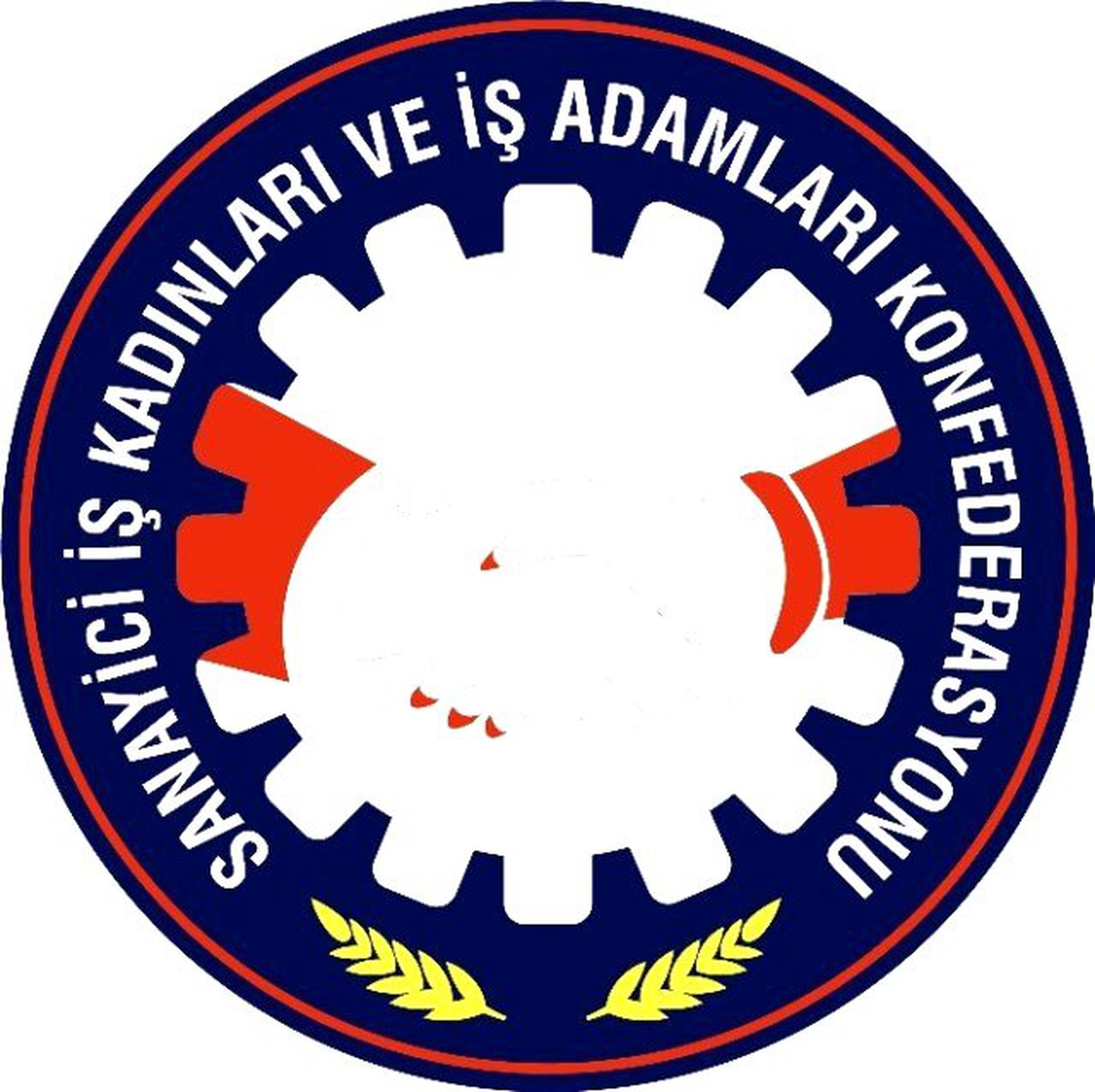 Sankon Nijer Cumhuriyeti Temsilciliğine İş Adamı Saley Seybou Seçildi