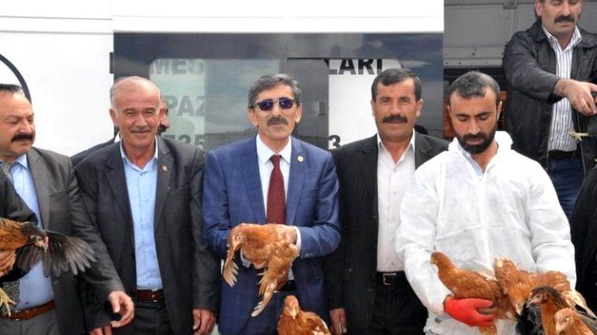 Sivas\'ta Çiftçilere 10 Bin Tavuk Dağıtıldı
