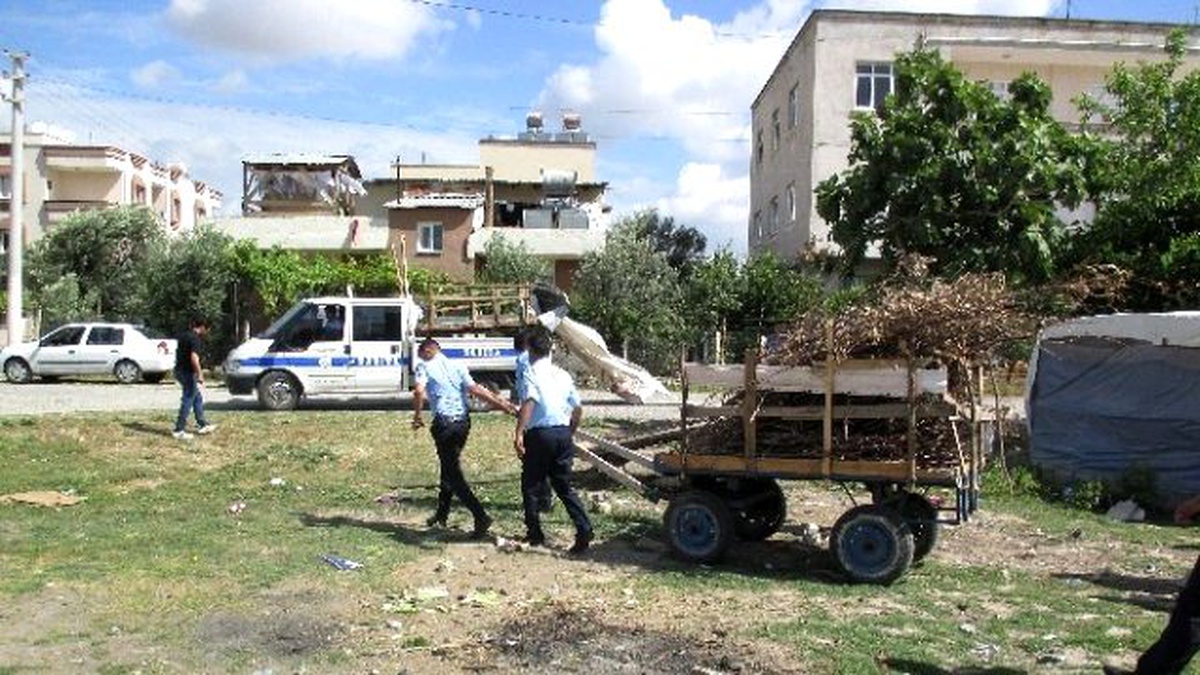 Tarsus Zabıtası At Arabalarını Topladı