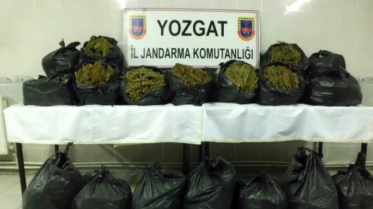 Yozgat Jandarma 100 Kilo Esrar Ele Geçirdi