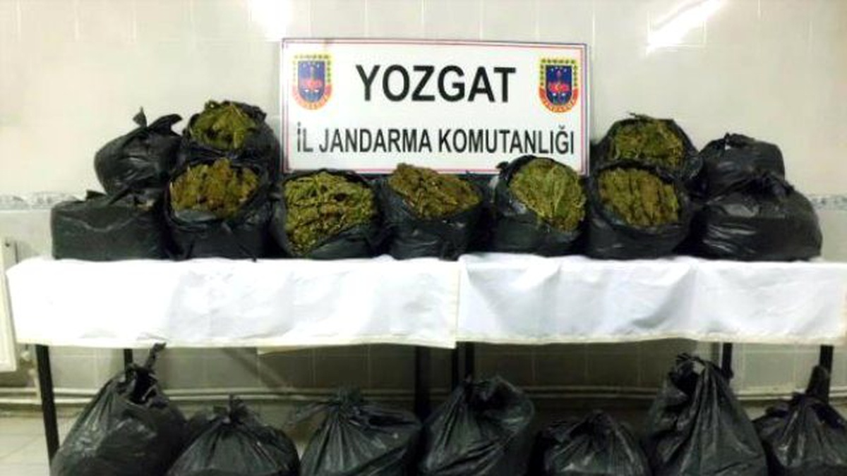 Yozgat\'ta 100 Kilo Esrar Ele Geçirildi