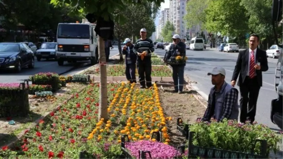 Melikgazi Çiçek Açtı