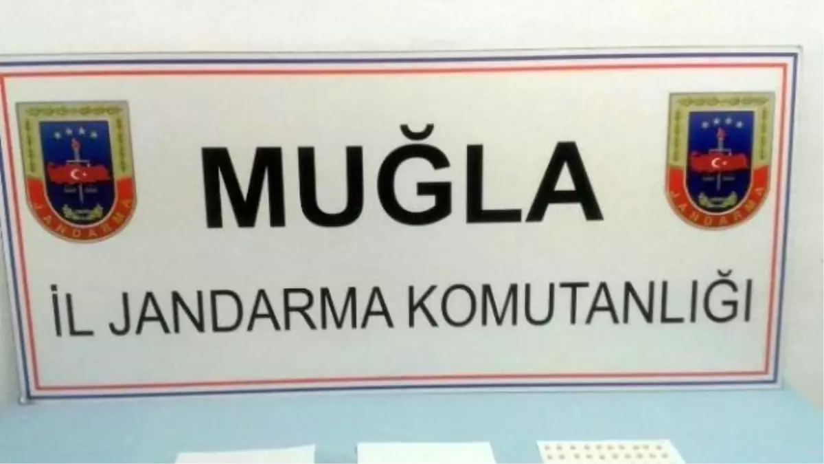 Muğla\'da Uyuşturucu Operasyonu