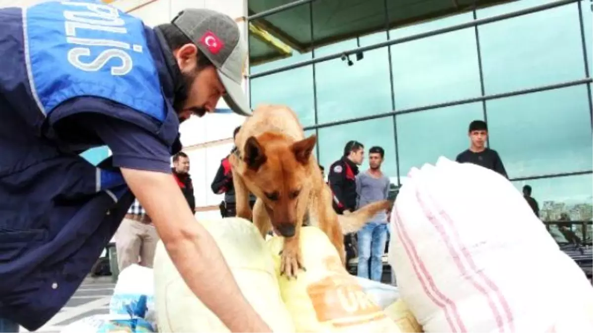 Şanlıurfa Otogarında Bomba ve Şüpheli Denetimi