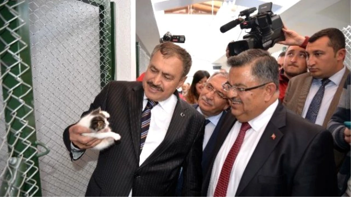Bakan Eroğlu, Bilecik\'te Sokak Hayvanları Tedavi ve Rehabilitasyon Merkezi\'ni Açtı