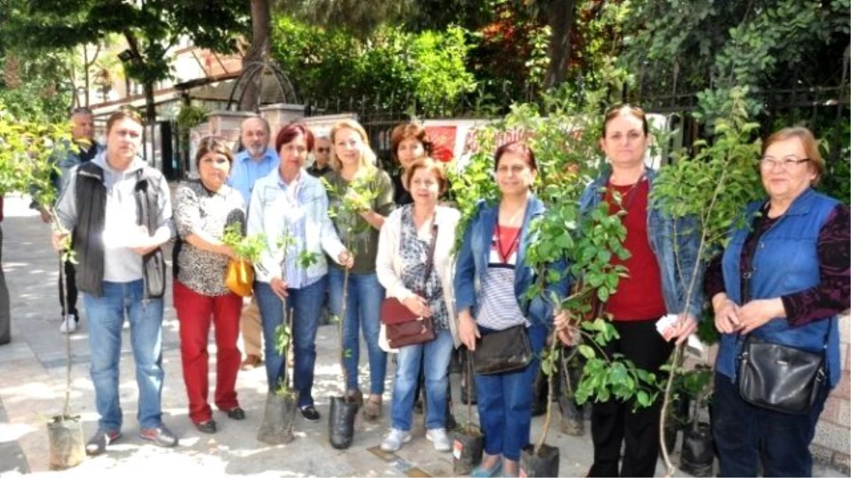 CHP Ödemiş\'ten Annelere Meyve Fidanı