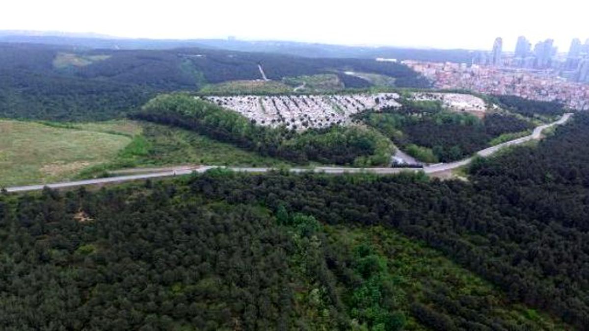 Maslak'taki Fatih Ormanı, Taş Ocakları ve Hafriyat Sahalarının Kıskacında