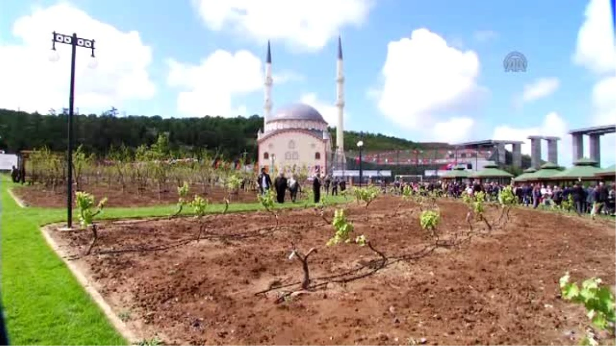 İstanbul\'un En Büyük "Meyve Bahçesi" Beykoz\'da Açıldı
