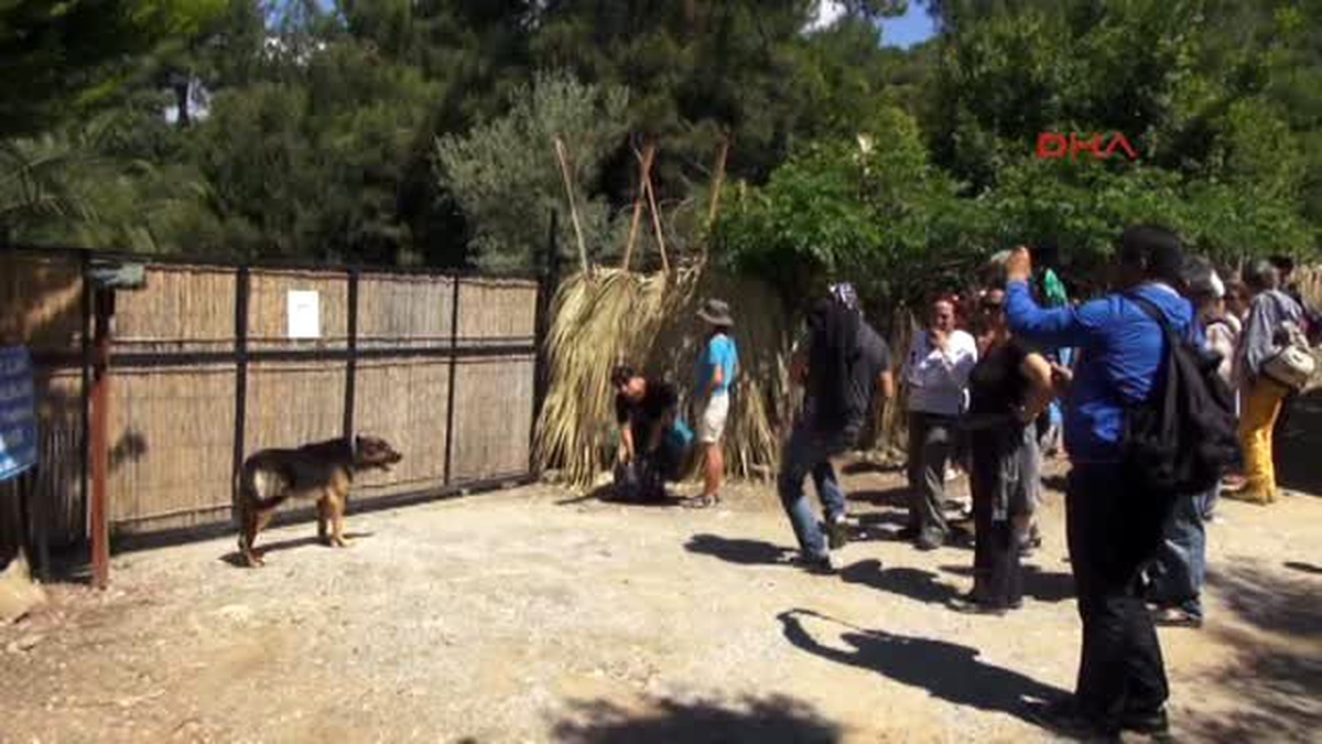 Marmaris\'te Koyların Girişe Açılması En Çok Onları Sevindirdi