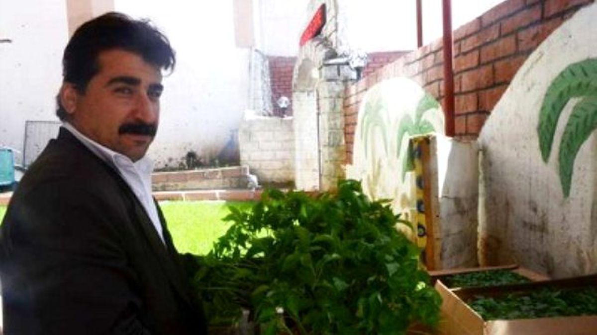 Sebze Fide Satışları Başladı