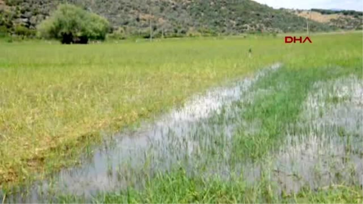 Söke? de Çiftçilerin Tahliye Kanalı İsteği