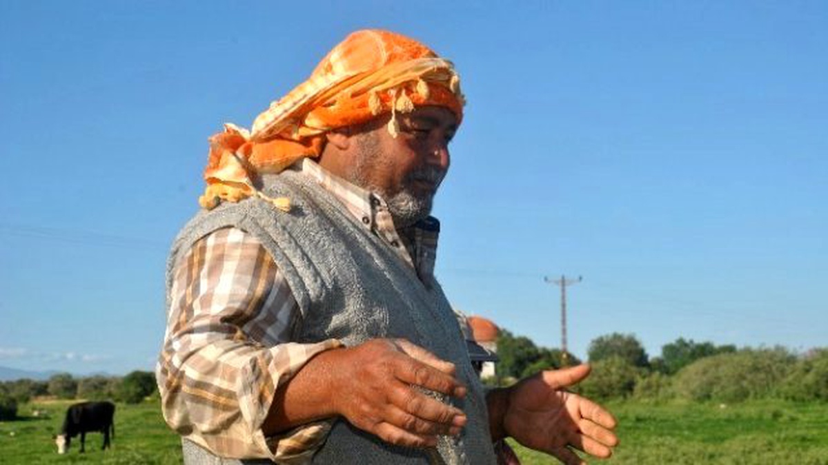 Aydınlı Çiftçi Süt Alım Fiyatlarından Memnun Değil