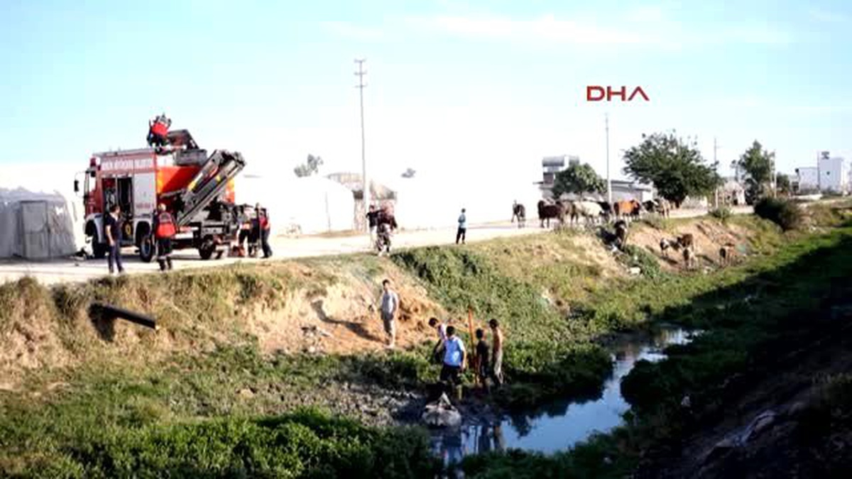 Çamura Saplanan Gebe İneği İtfaiye Kurtardı