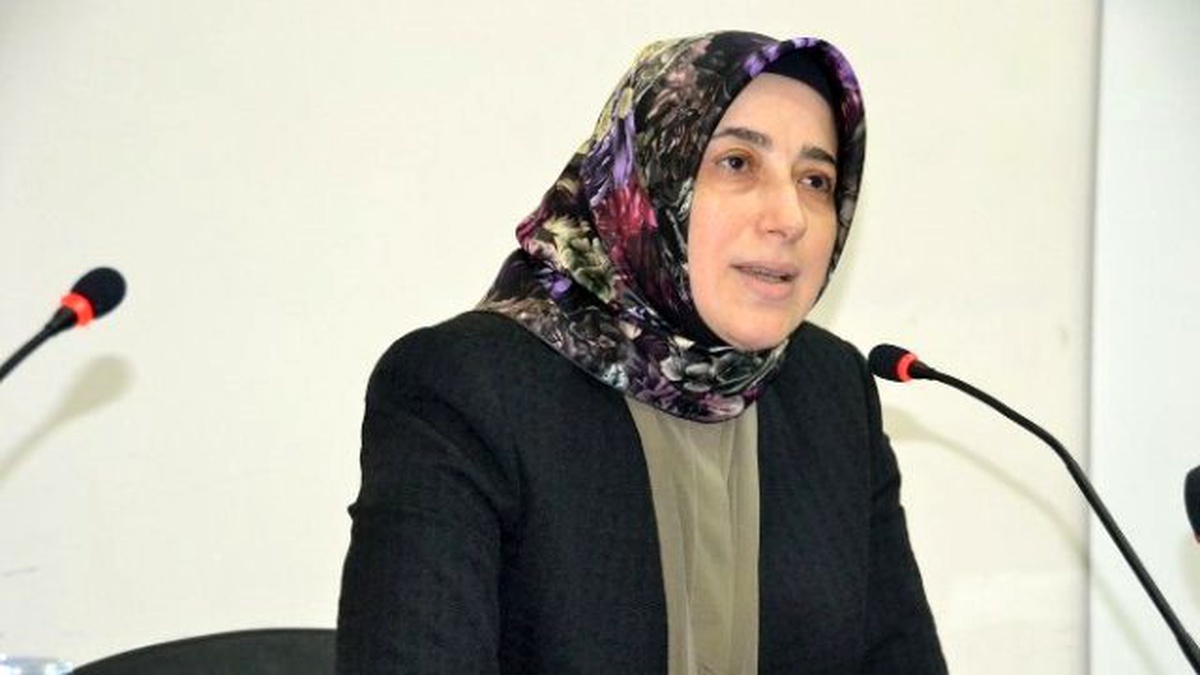 Cumhurbaşkanı Başdanışmanı\'ndan Yeni Anayasa Vurgusu