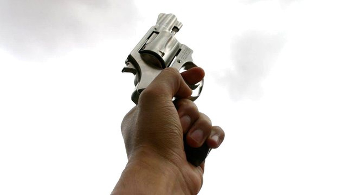 Düğünde Havaya Silahla Ateş Açıp Jandarmaya da Direndiler