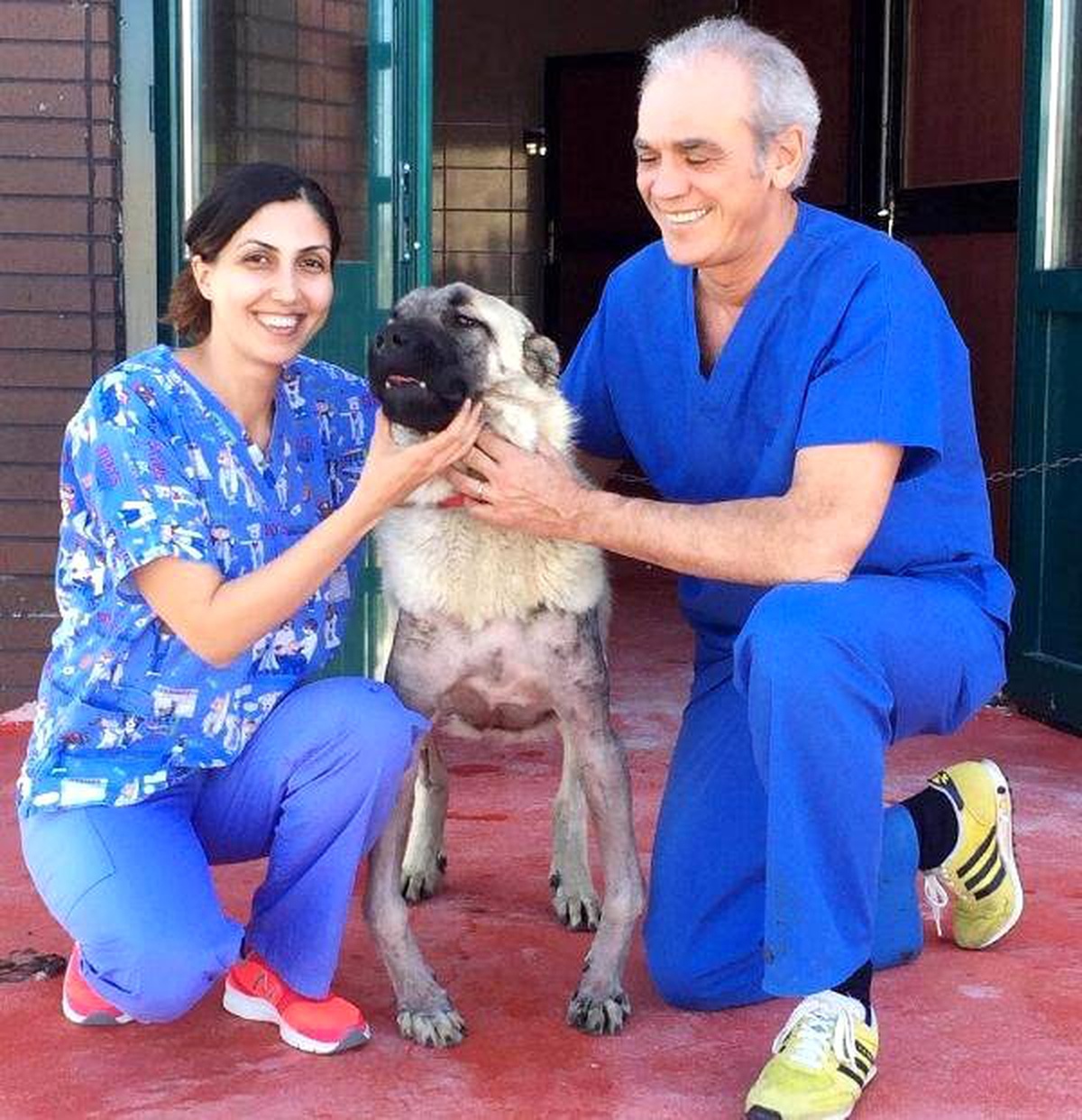 İtalyan Profesörden Makü\'nün Köpeklerde Bacak Eğriliği Projesine Destek