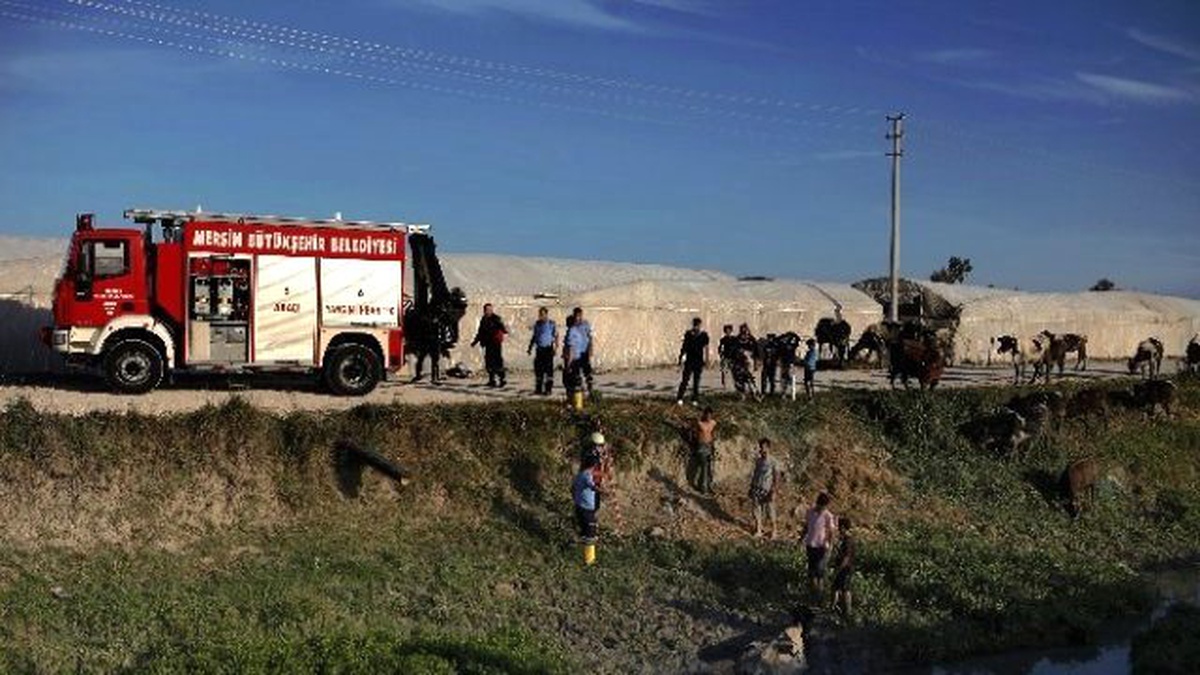 İtfaiyeden İnek Kurtarma Operasyonu