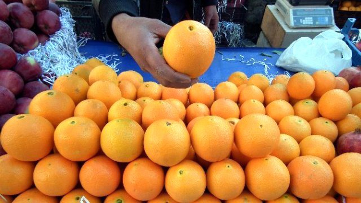 Kaya; "Narenciye Üreticisi Ağaçları Sökmeye Hazırlanıyor"