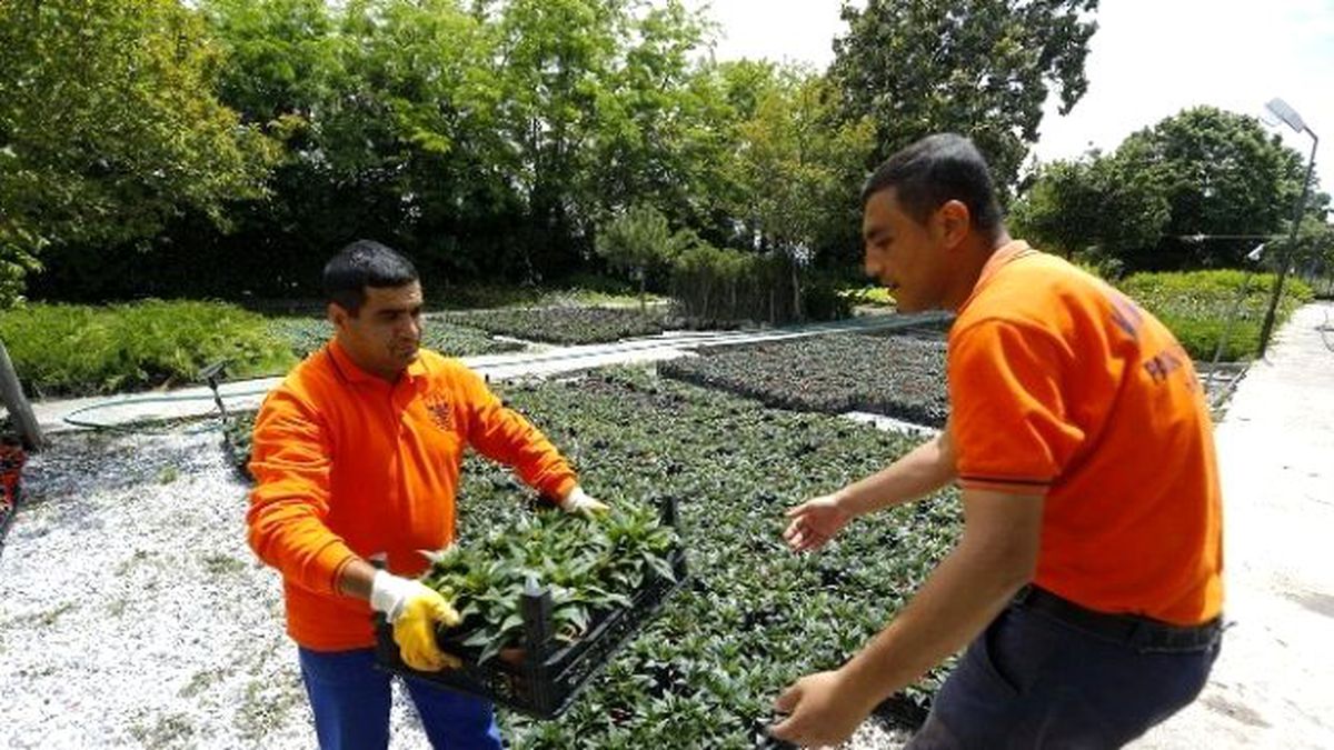 Konak\'ın Parkları Çiçeklerle Renklenecek