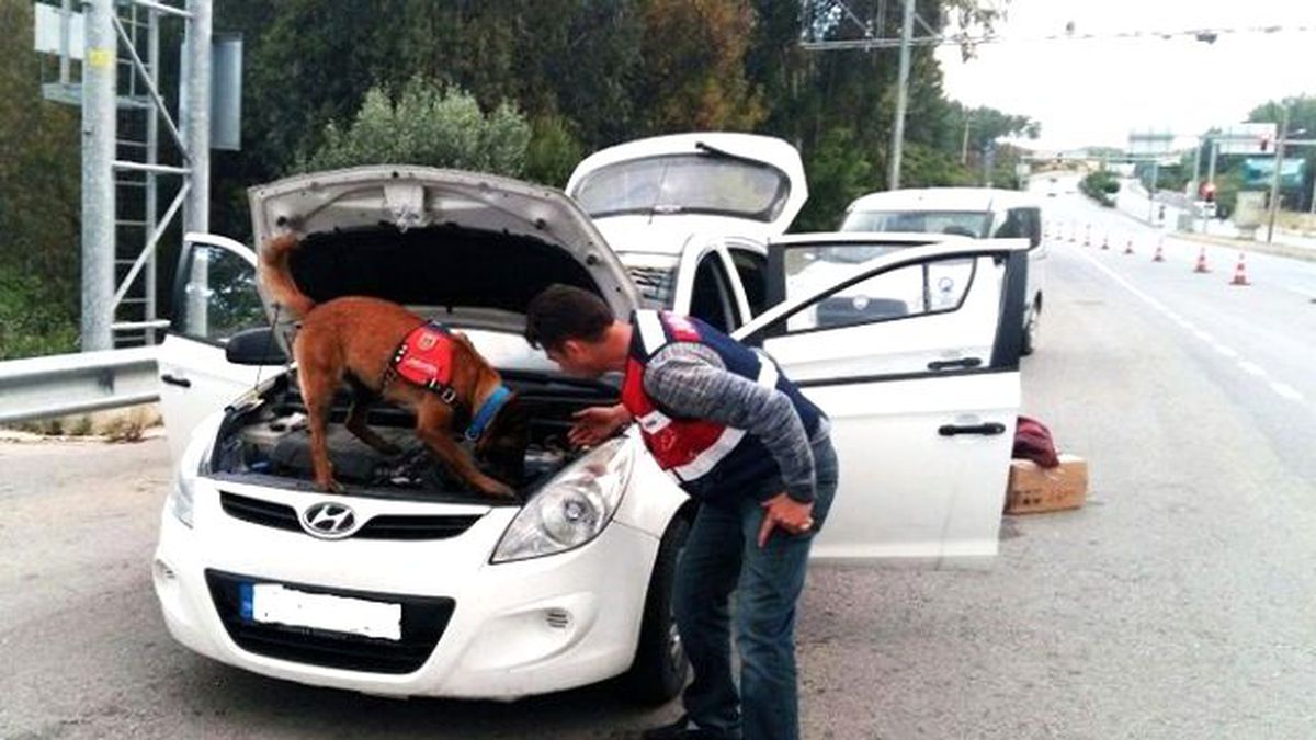Narkotik Köpek \'Alçı\'dan Kaçış Yok