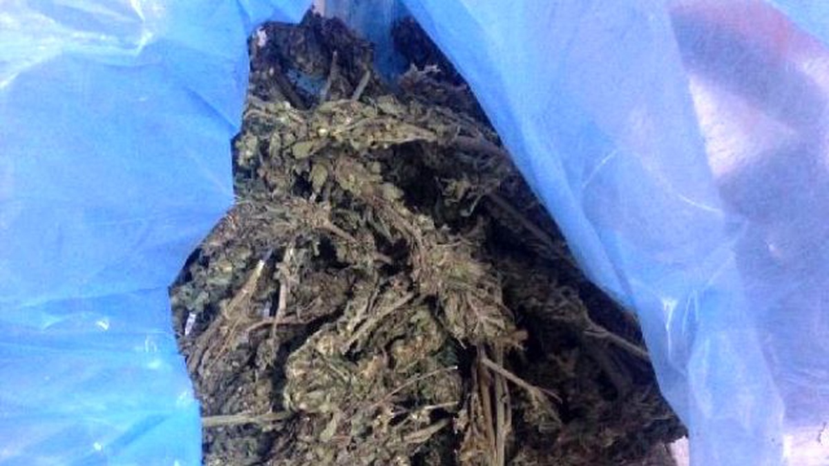 Otobüsteki Yolcu 510 Gram Esrarla Yakalandı