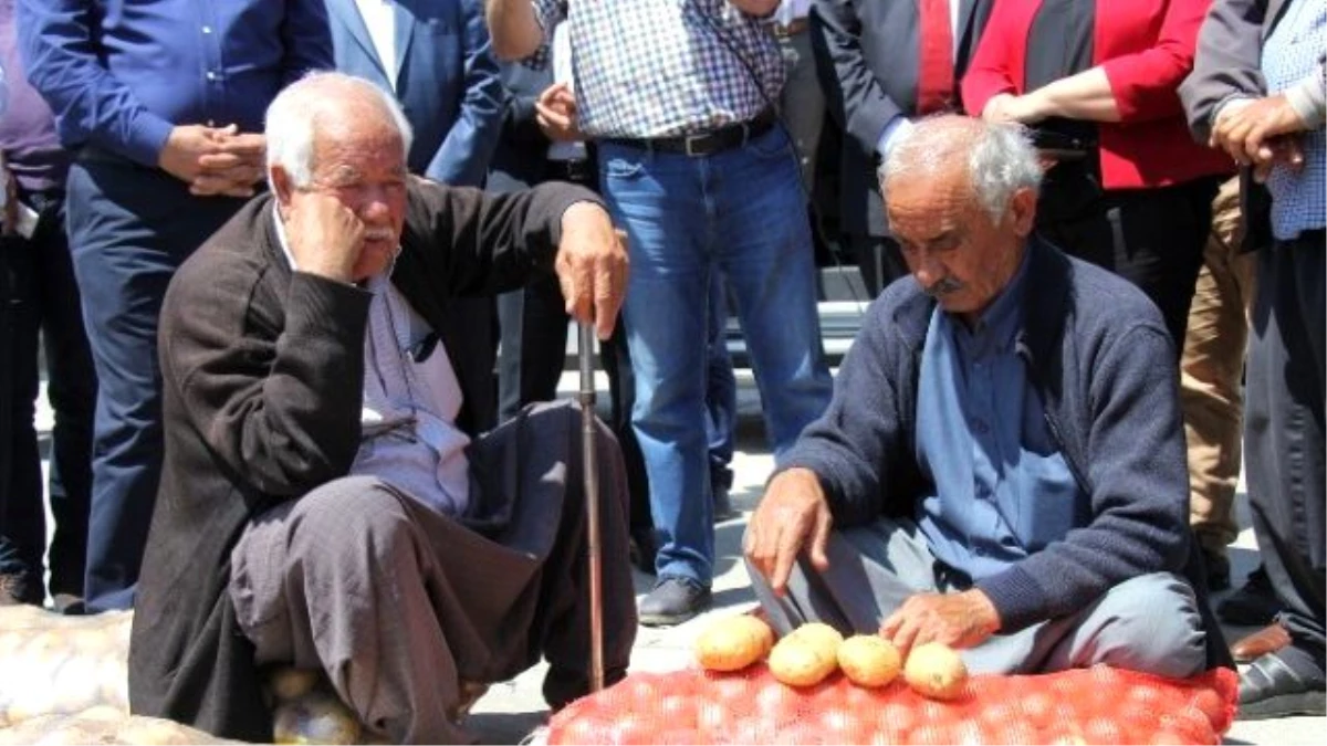 Patates Elde, Soğan Tarlada Kaldı