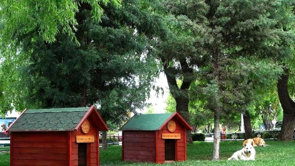 Sokak Köpekleri İçin 3 Yeni Kulübe Daha