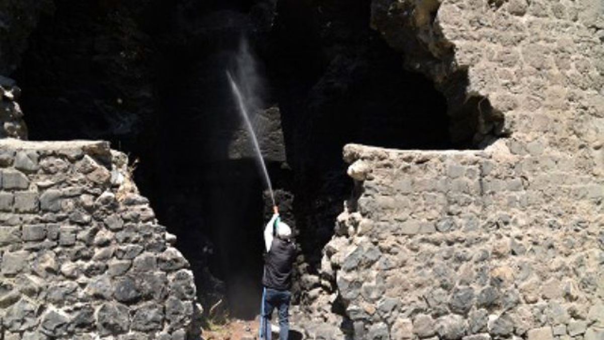 Sur\'da Haşere, Akrep ve Yılanlara Karşı İlaçlama Devam Ediyor