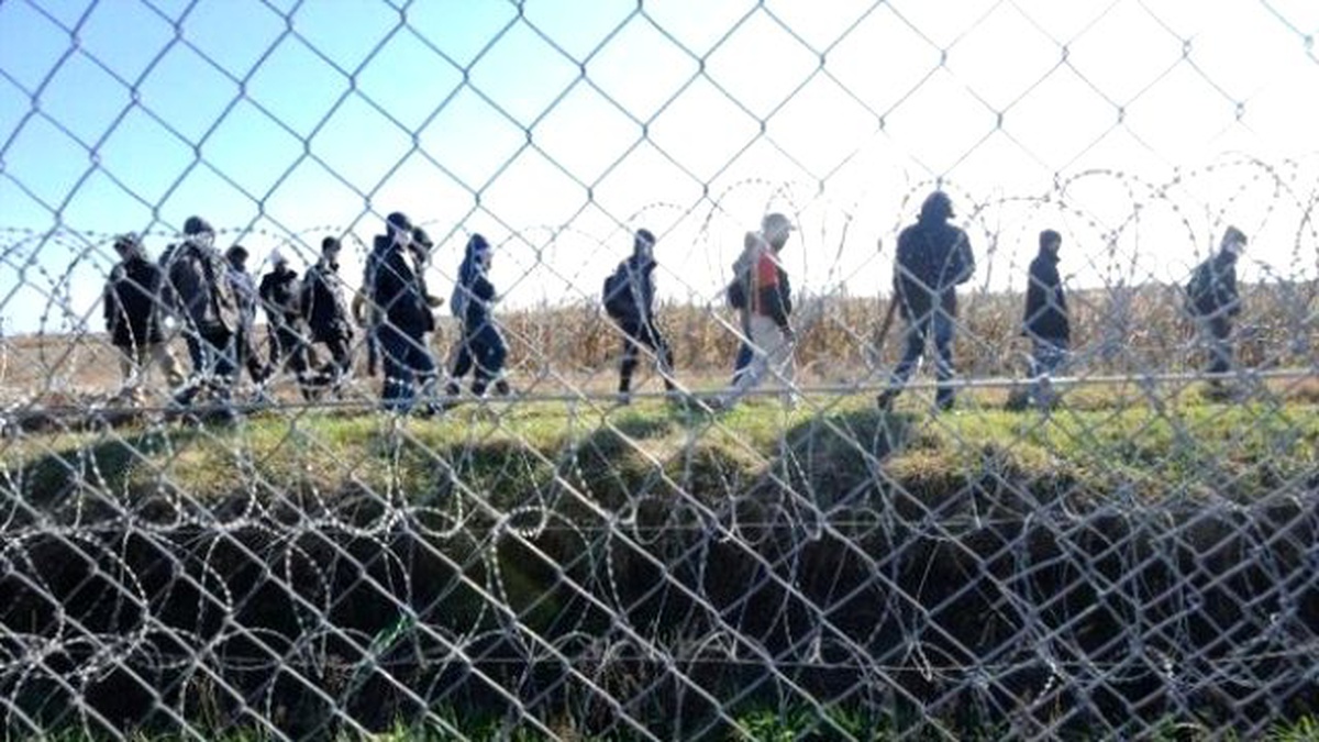 Suriyeli Kadın Sığınmacı Slovak Gümrük Görevlileri Tarafından Vuruldu