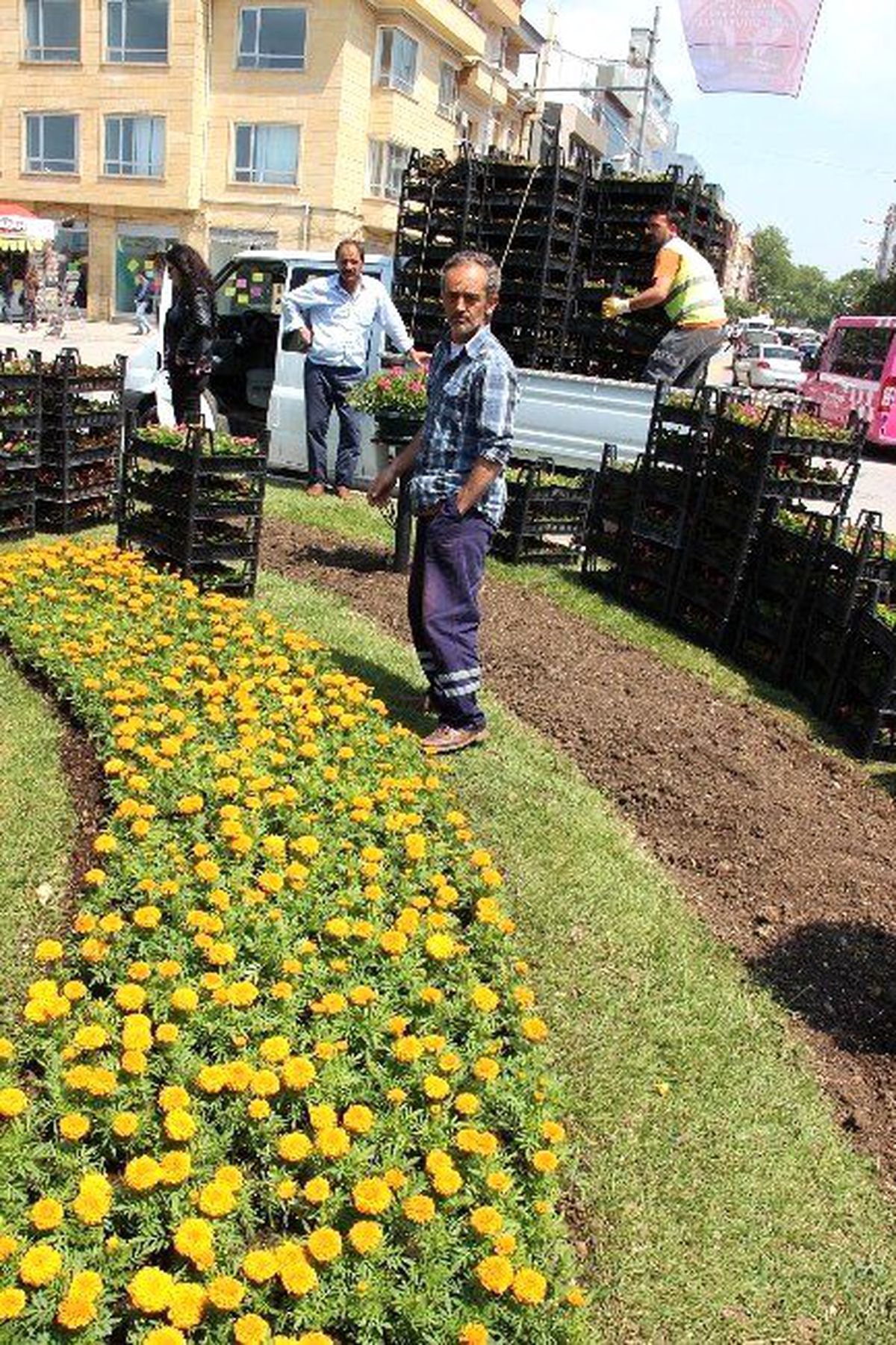 Yalova Belediyesi 1 Milyon Çiçek Dikecek