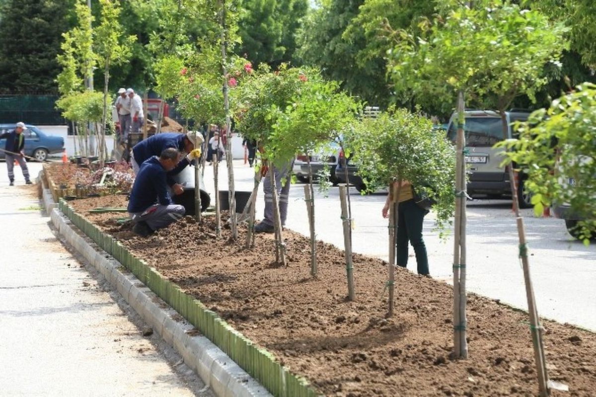 Yeşillendirme Çalışmaları Devam Ediyor