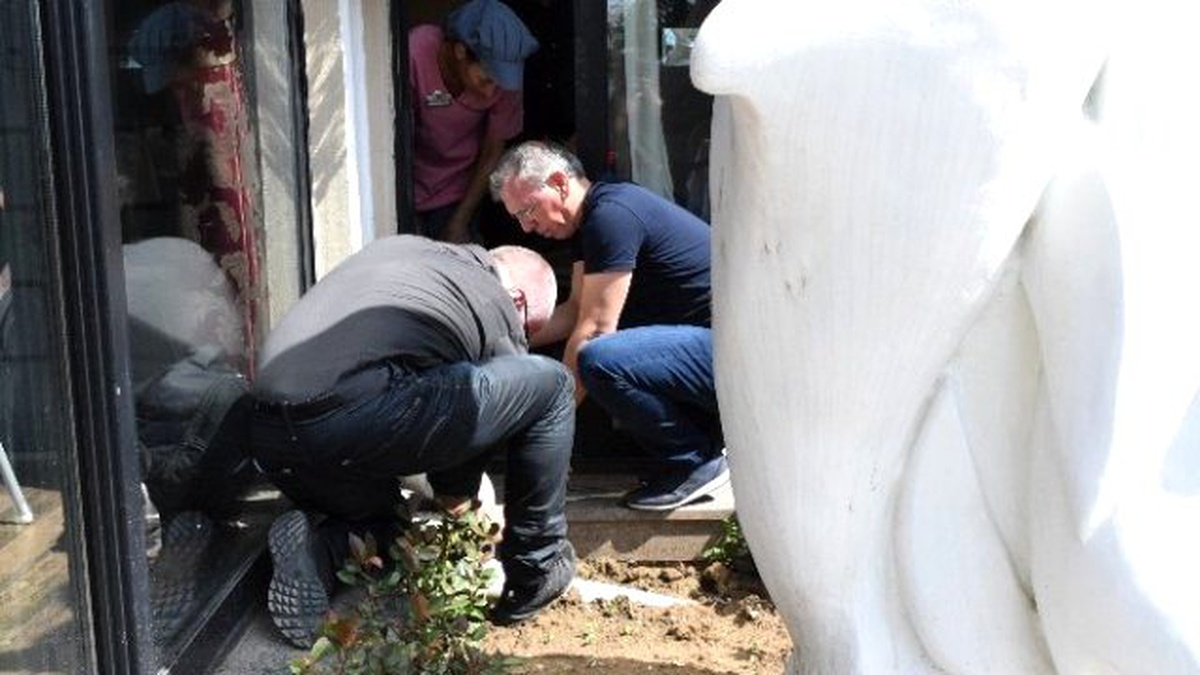 Anne Kedi Yavrusu İçin Oteli Ayağa Kaldırdı