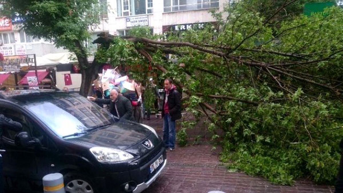 Başkent\'te Yağış Ağaç Devirdi