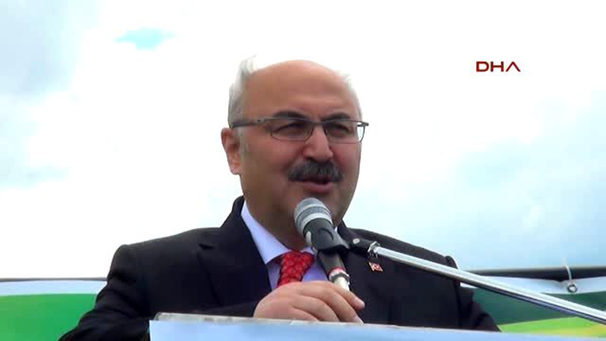 Bingöl\'de \'En İyi Koç ve Kuzu\' Yarışması