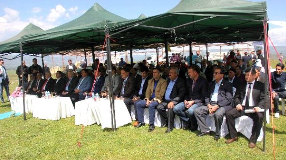 Bingöl\'de Ödüllü Koç ve Kuzu Yarışması