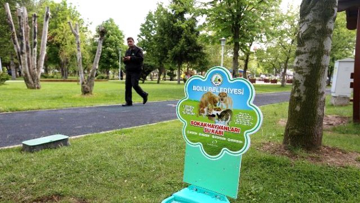 Bolu Belediyesi\'nden Sokak Hayvanları İçin Örnek Proje