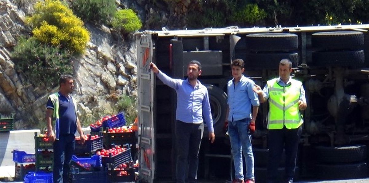 Domates Yüklü Kamyon Devrildi