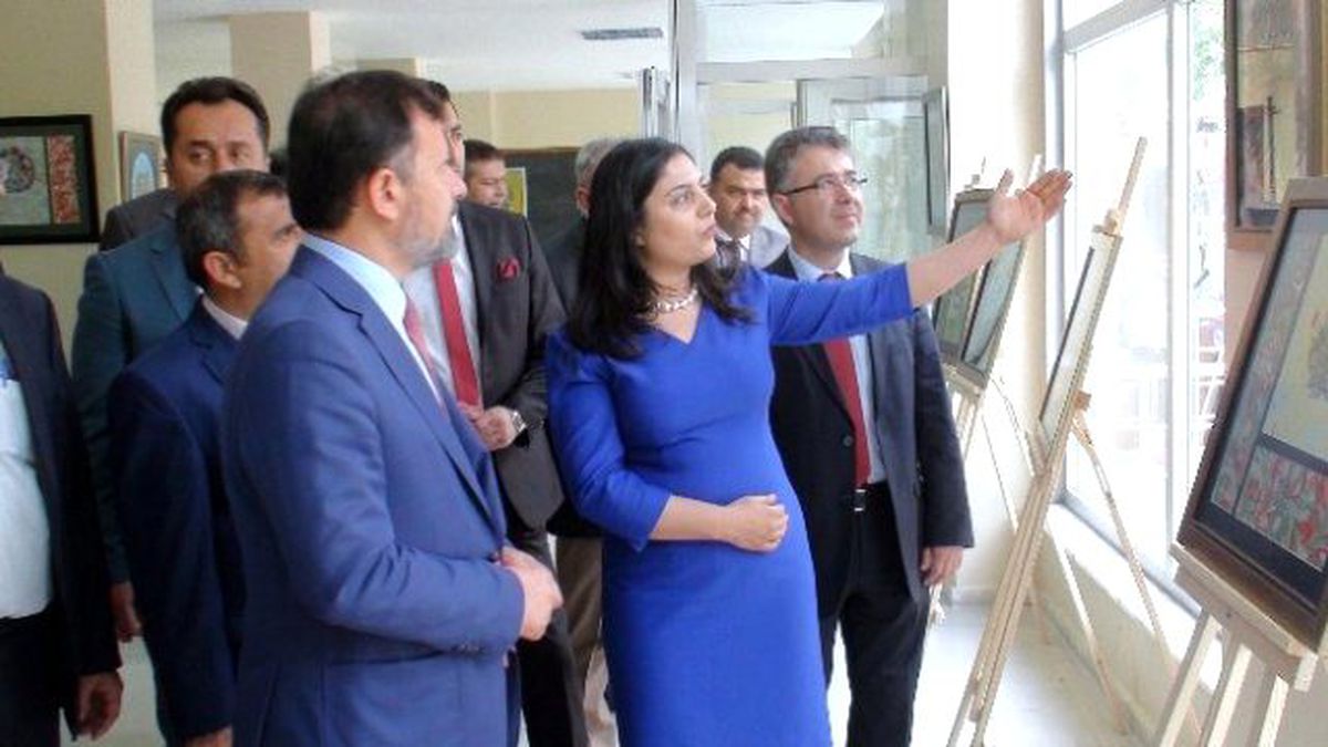 Ebru Sergisine İlgi