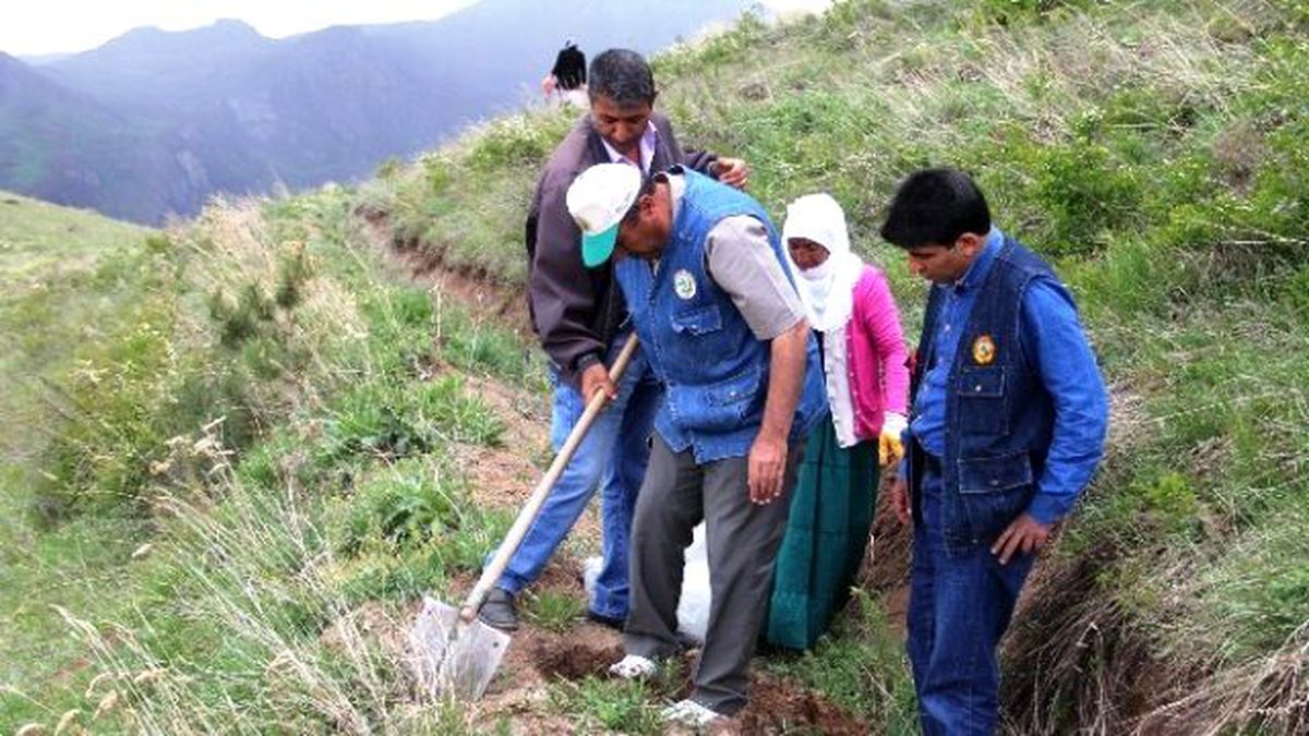 Iğdır\'ın Dağları Ağaçlandırılıyor