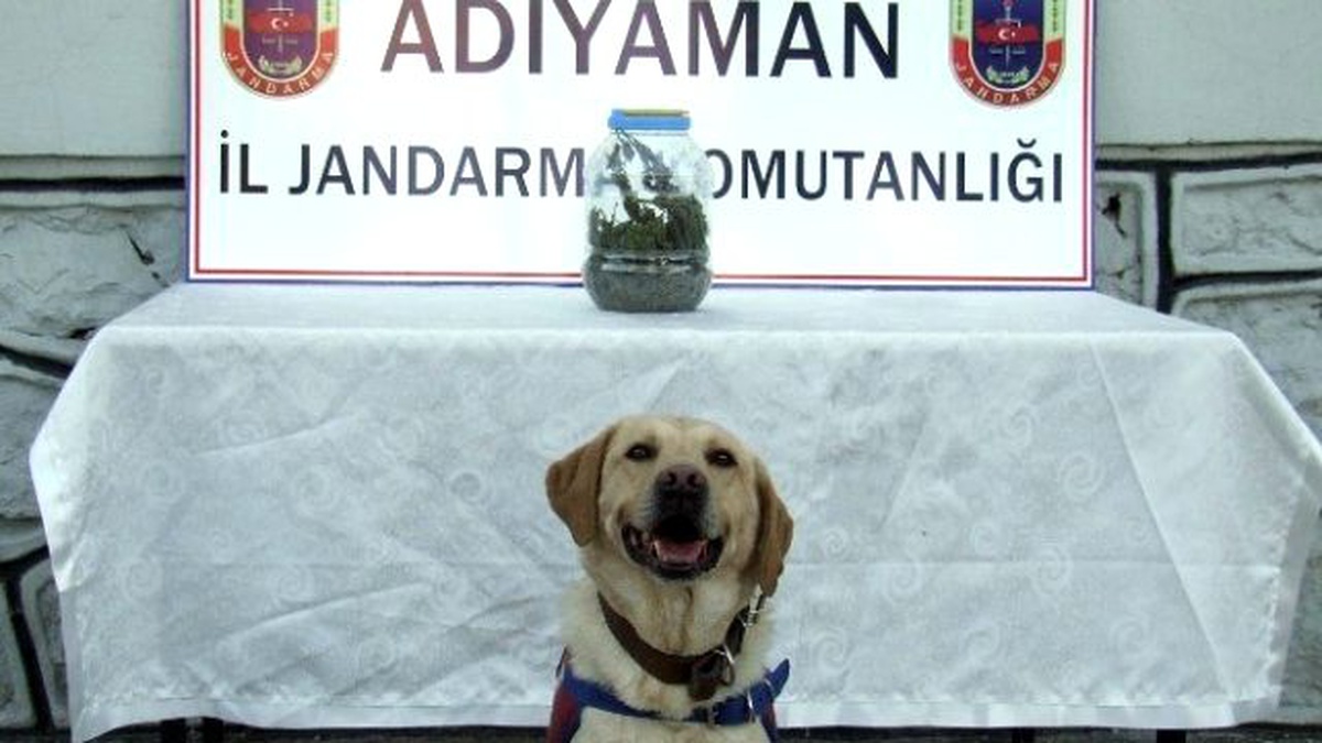 Otomobilin Bagajında Uyuşturucu Ele Geçirildi