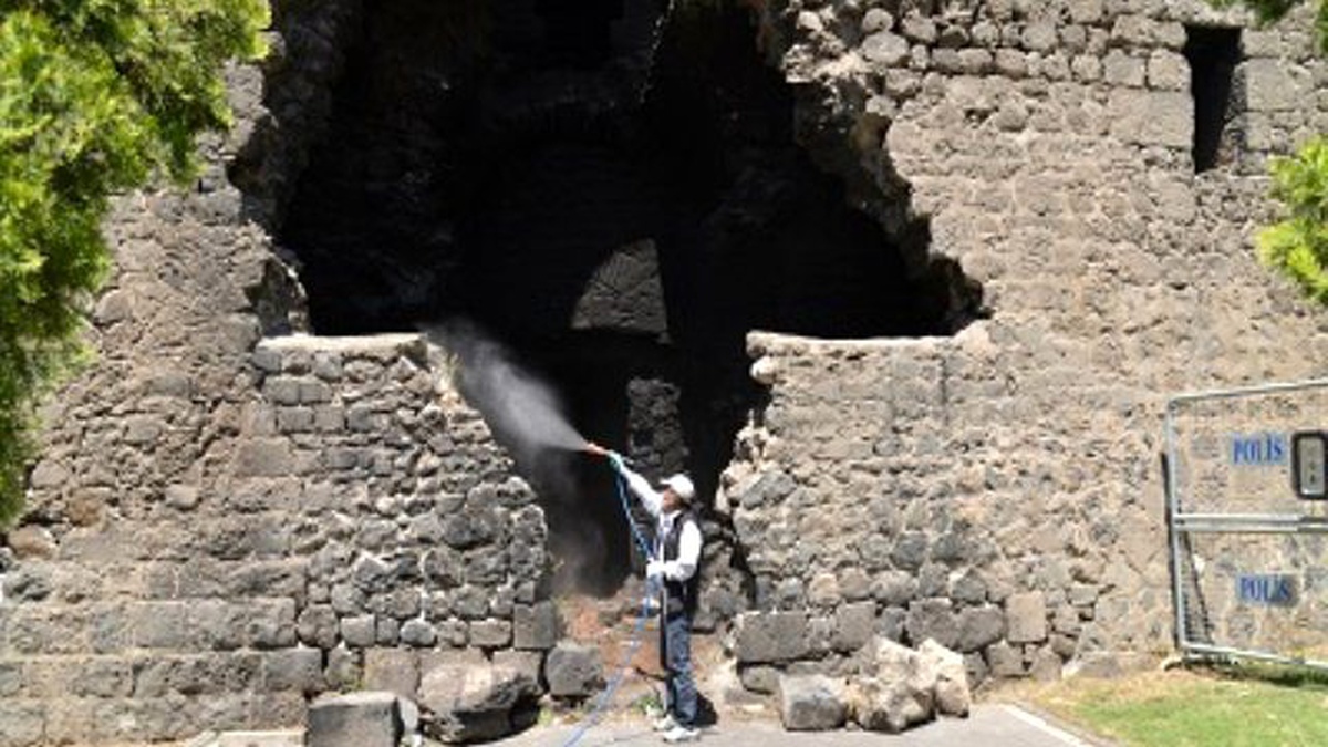 Sur\'da Haşere, Akrep ve Yılana Karşı İlaçlama Devam Ediyor