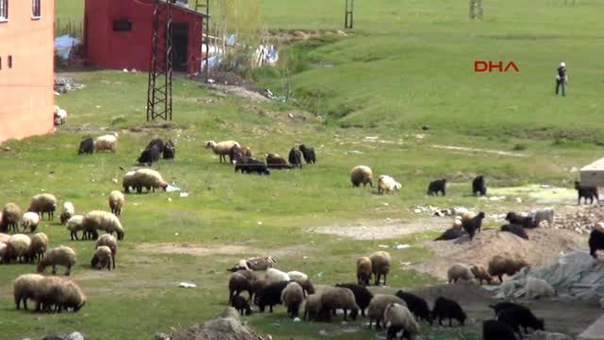 Yüksekova\'da Temizlik Çalışması Sürüyor