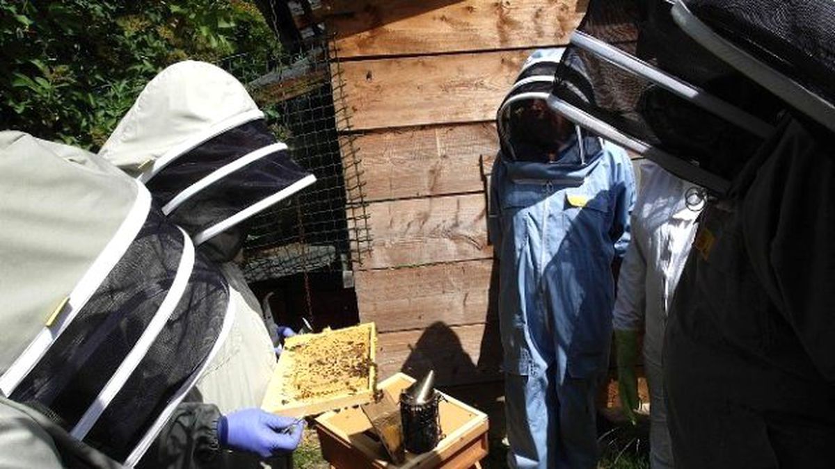Aydın\'da Orman Köylülerine 12,8 Milyon TL Katkı