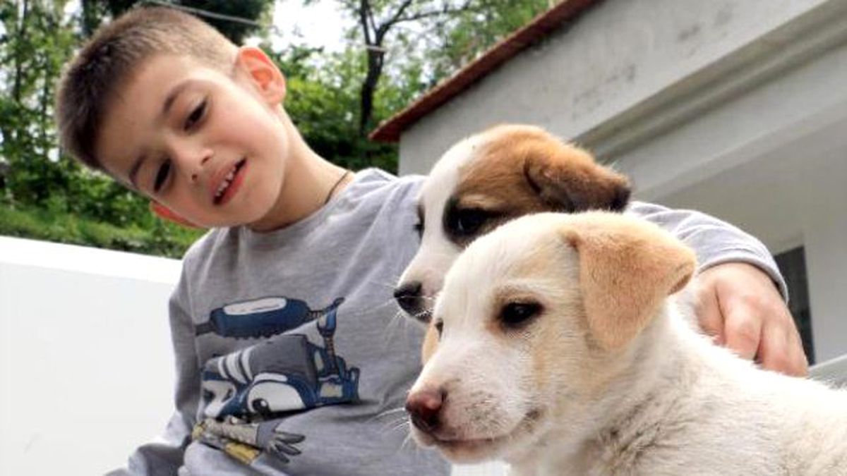 Evcil Hayvan Beslemek Çocuk Gelişimine Olumlu Katkı Sağlıyor