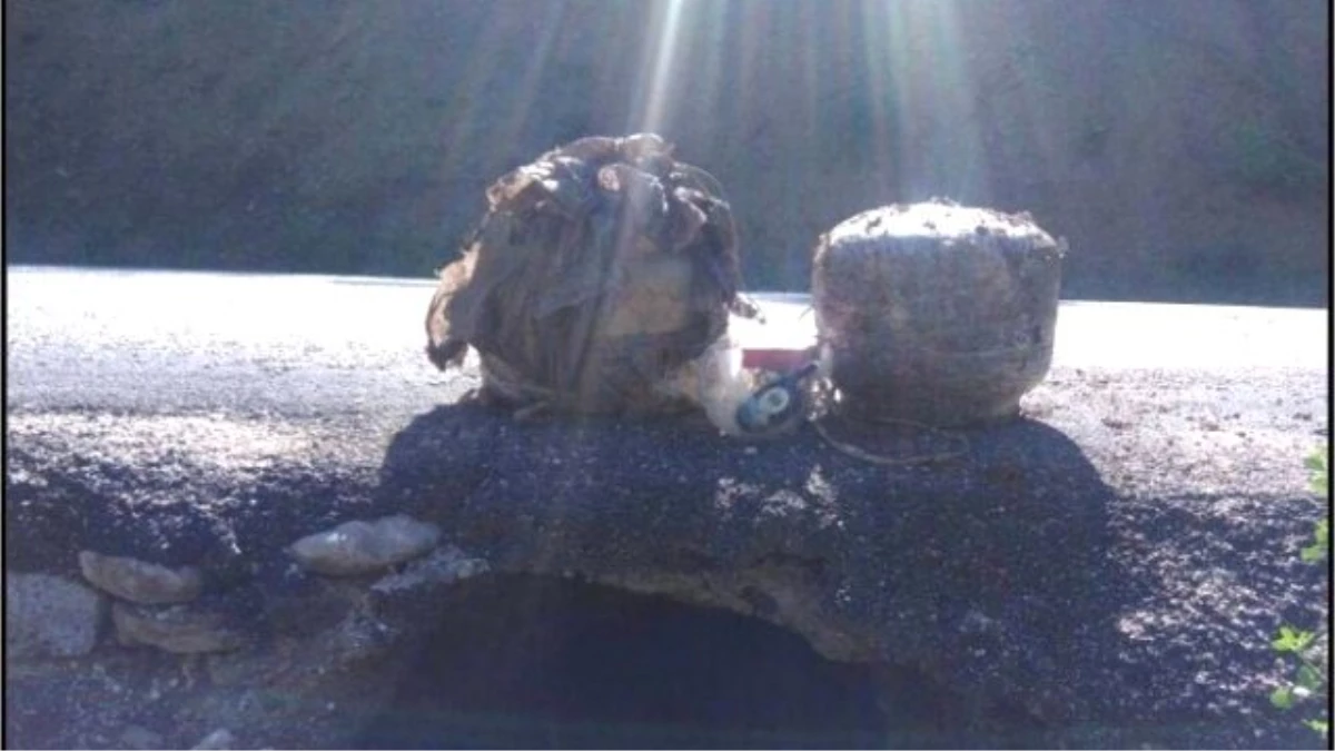 Asker Bombalı Tuzağı Son Anda Fark Etti, Tunceli'de Facianın Eşiğinden Dönüldü