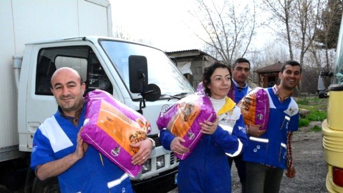 Haytap\'tan 19 Farklı Noktaya 6,5 Ton Kedi Maması