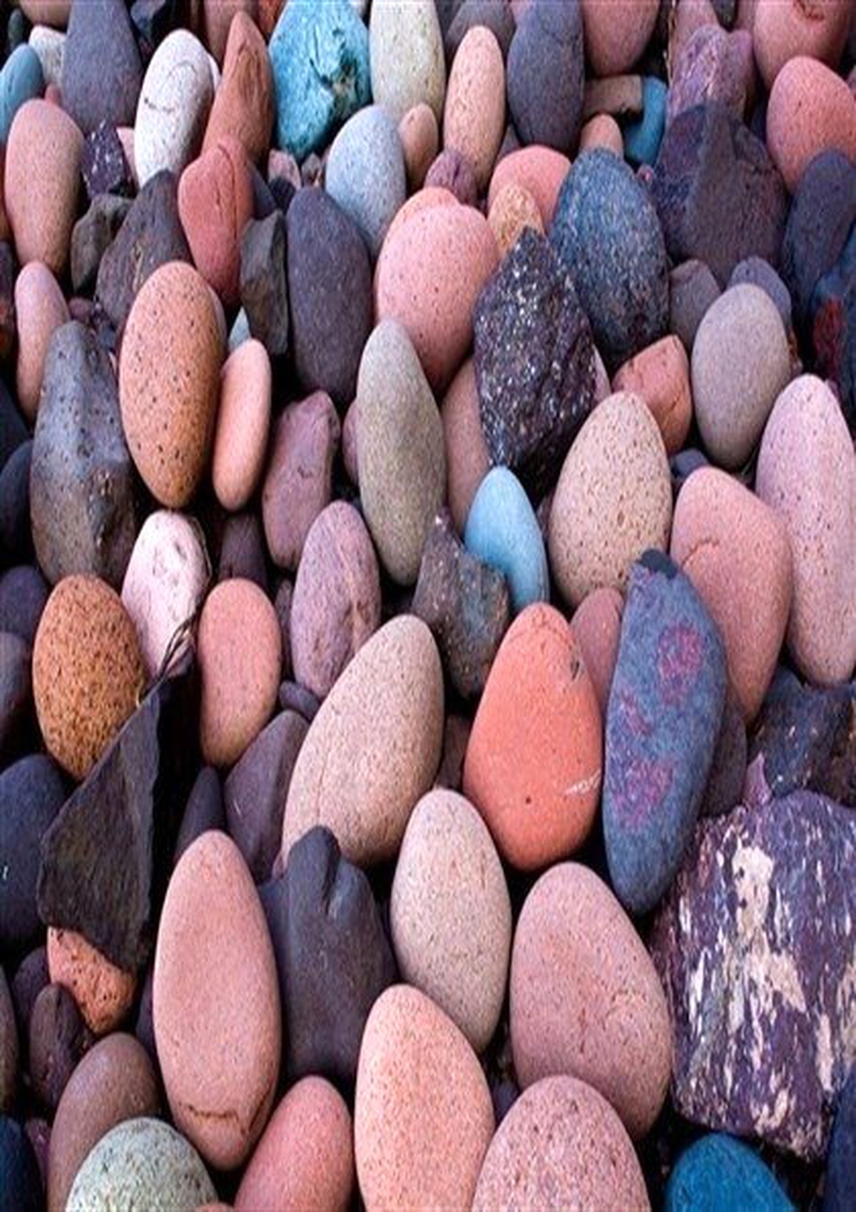 Mali ve Hukuki Açıdan Şirketler Topluluğu Eğitimi